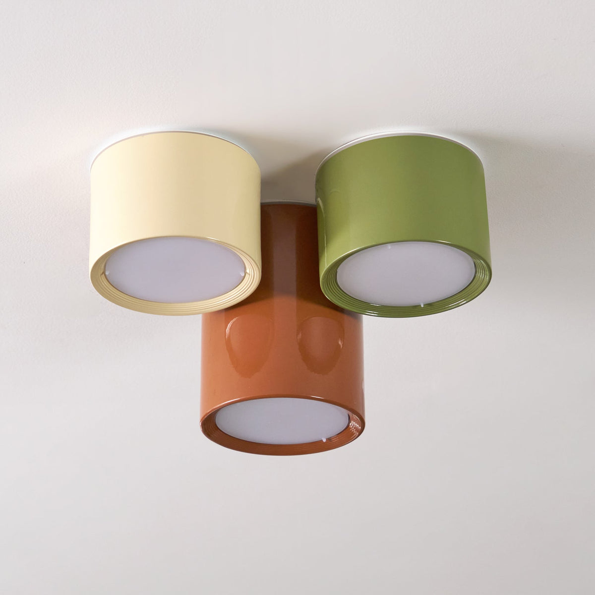 Ceiling Light with Multiple Light Heads