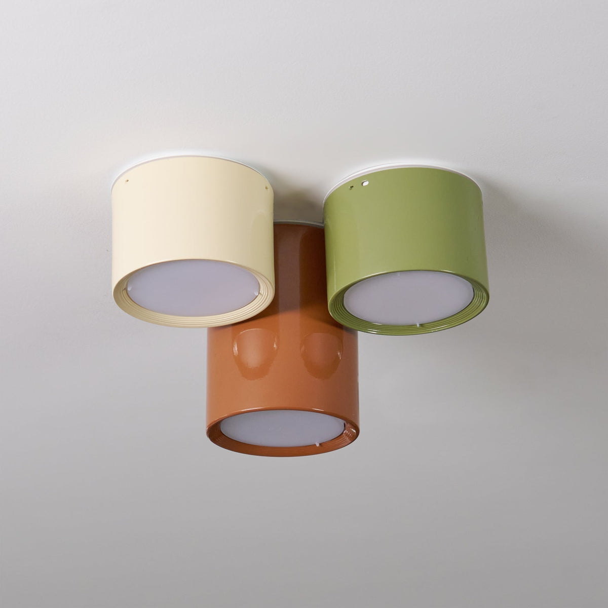 Ceiling Light with Multiple Light Heads