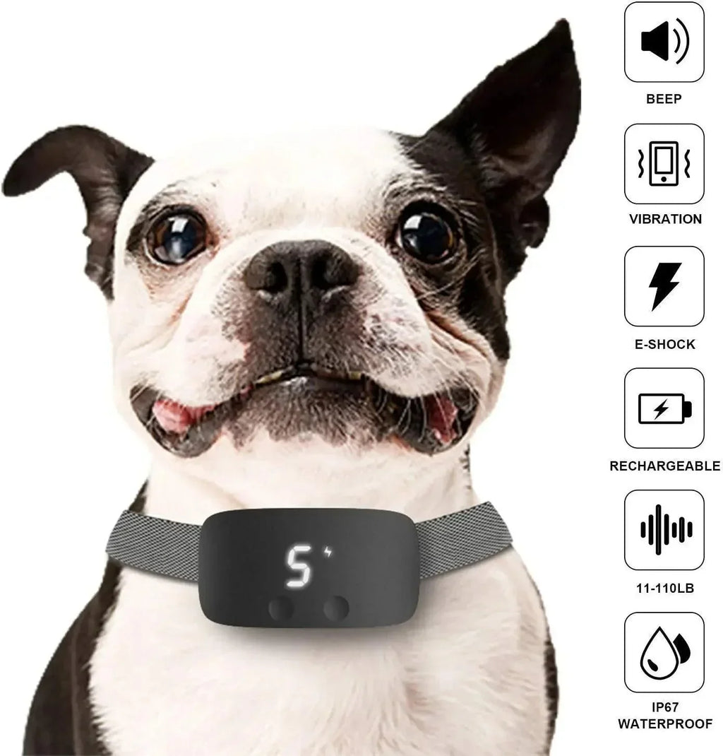Anti-Bark Collar | Auto Detection & USB-Rechargeable | IP67 Waterproof