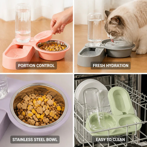 Automatic Cat Feeder | Portion Control & Filtered 2L Water