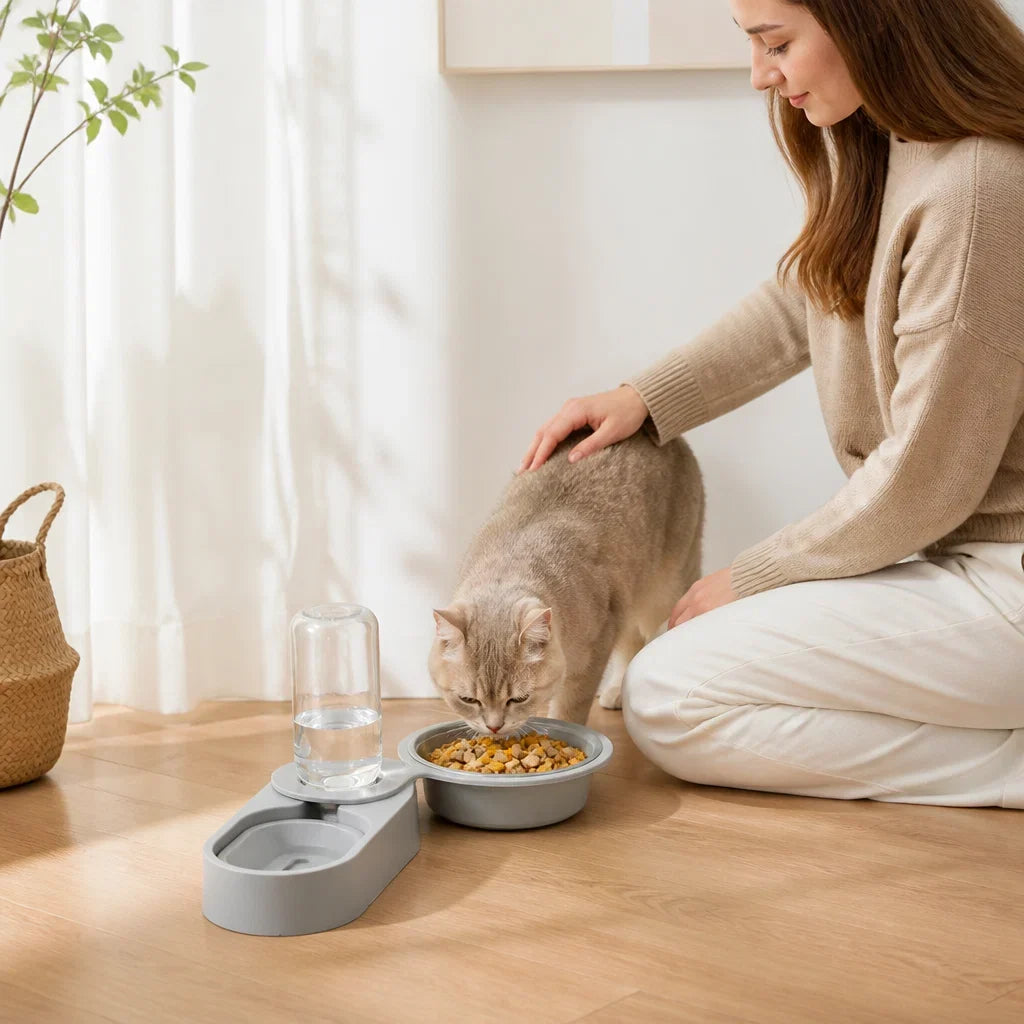 Automatic Cat Feeder | Portion Control & Filtered 2L Water