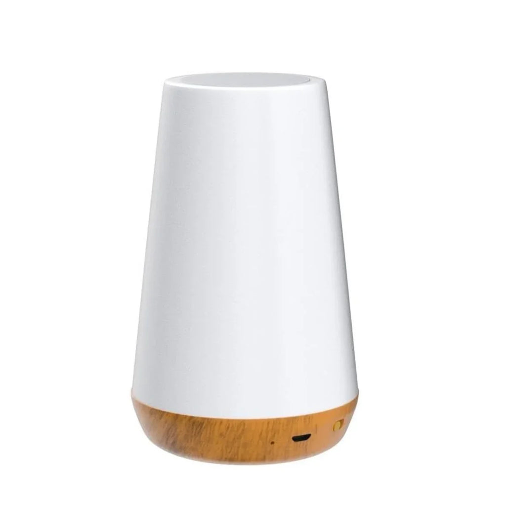 Bedside Lamp | 360° Touch & Remote Control USB Rechargeable