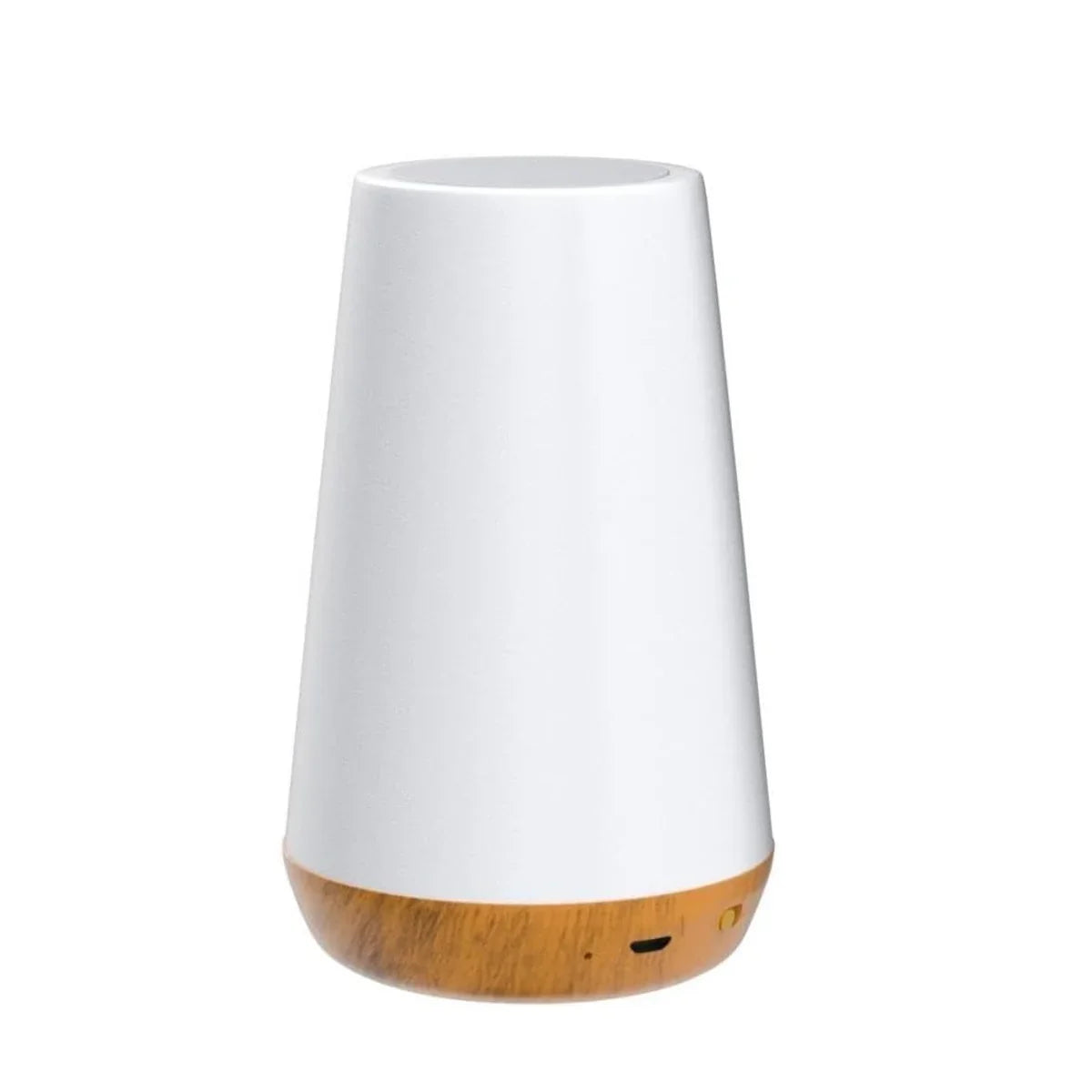 Bedside Lamp | 360° Touch & Remote Control USB Rechargeable