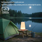 Bedside Lamp | 360° Touch & Remote Control USB Rechargeable