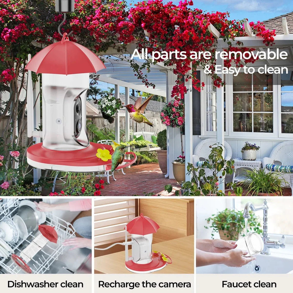 Bird Feeder | 1080P Wide-Angle Camera & Anti-Ant Bee-Proof