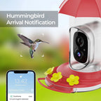 Bird Feeder | 1080P Wide-Angle Camera & Anti-Ant Bee-Proof