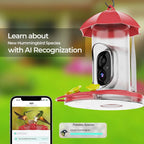 Bird Feeder | 1080P Wide-Angle Camera & Battery-Powered Wi-Fi