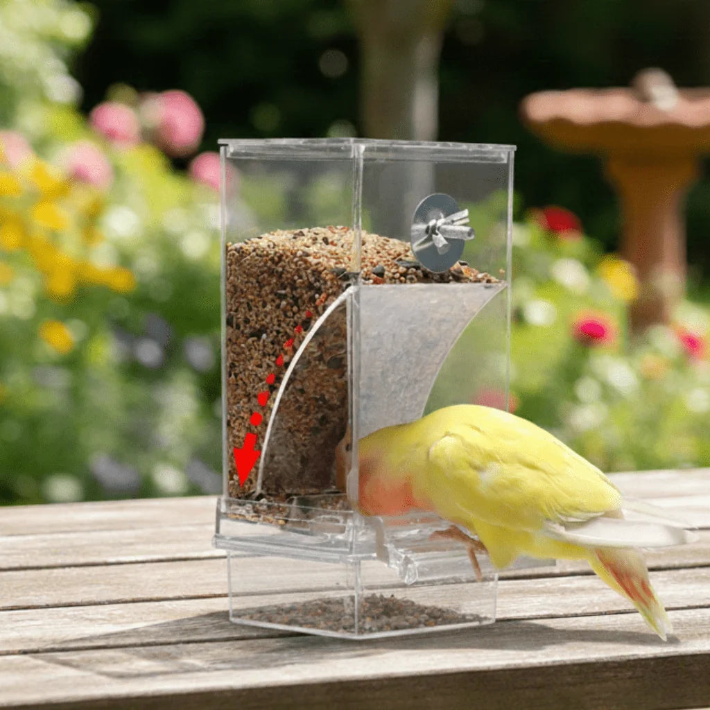 Bird Feeder | Spill-Proof & Splash-Proof Automatic Seed Dispensing | For Small Birds