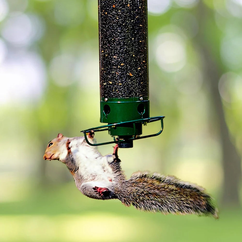 Bird Feeder | Squirrel-Proof Spinning Perch & Metal | Hanging