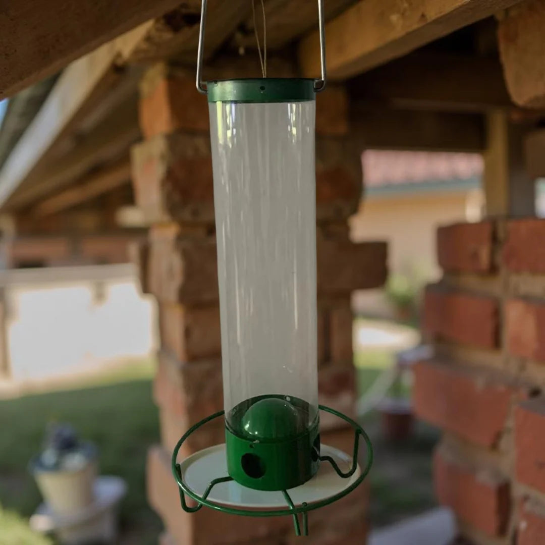 Bird Feeder | Squirrel-Proof Spinning Perch & Metal | Hanging