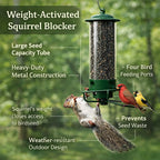 Bird Feeder | Squirrel-Proof Spinning Perch & Metal | Hanging