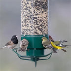 Bird Feeder | Squirrel-Proof Spinning Perch & Metal | Hanging