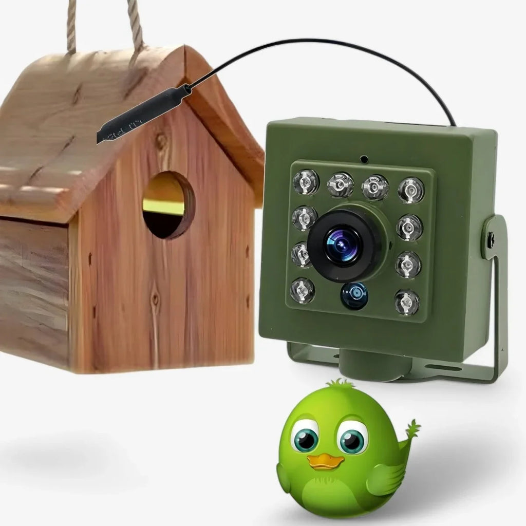 Bird Nest Camera | 1080p HD WiFi & Night Vision