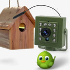 Bird Nest Camera | 1080p HD WiFi & Night Vision
