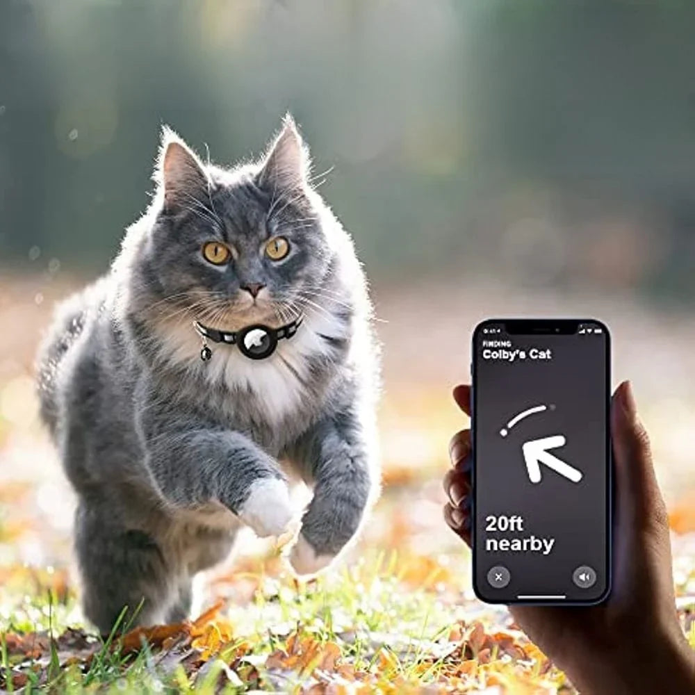 Cat Collar | Quick-Release Safety Buckle & Reflective GPS Compartment