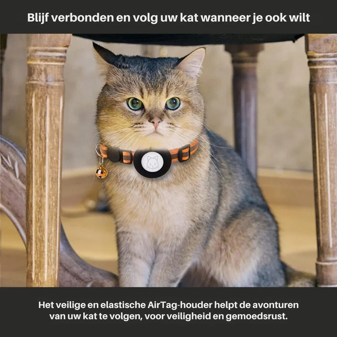 Cat Collar | Quick-Release Safety Buckle & Reflective GPS Compartment
