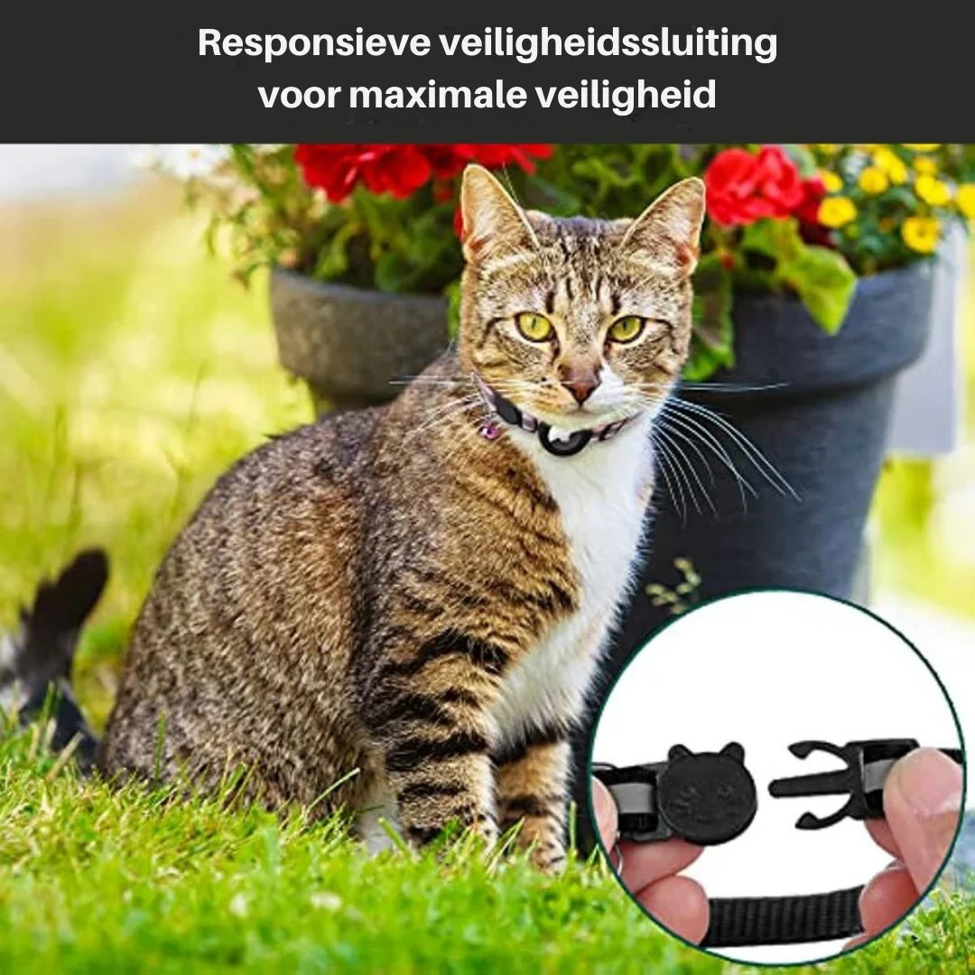 Cat Collar | Quick-Release Safety Buckle & Reflective GPS Compartment