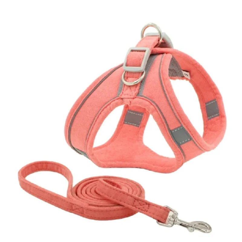 Cat Harness & Leash Set | Escape-Proof Padded Mesh & Quick-Release Buckles | XS–XL