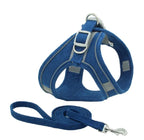 Cat Harness & Leash Set | Escape-Proof Padded Mesh & Quick-Release Buckles | XS–XL