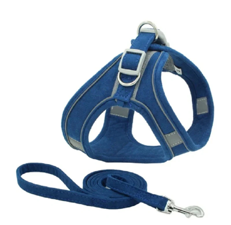 Cat Harness & Leash Set | Escape-Proof Padded Mesh & Quick-Release Buckles | XS–XL