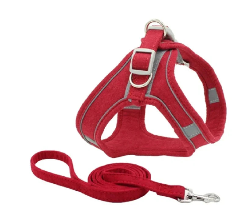 Cat Harness & Leash Set | Escape-Proof Padded Mesh & Quick-Release Buckles | XS–XL