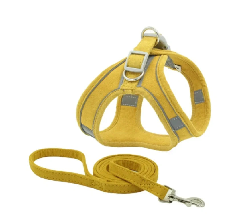 Cat Harness & Leash Set | Escape-Proof Padded Mesh & Quick-Release Buckles | XS–XL