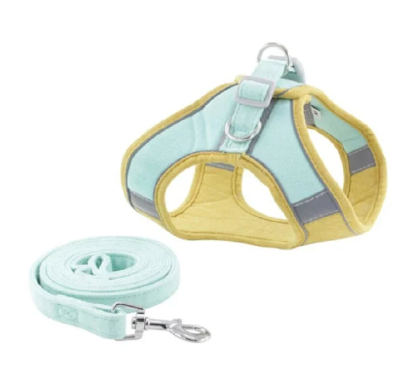 Cat Harness & Leash Set | Escape-Proof Padded Mesh & Quick-Release Buckles | XS–XL
