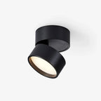 Ceiling Light | Adjustable LED & Aluminum Housing