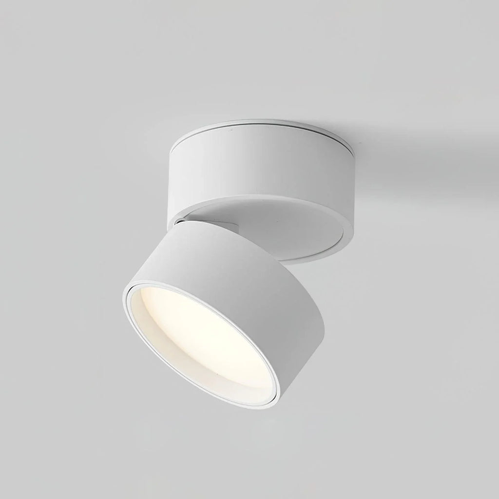 Ceiling Light | Adjustable LED & Aluminum Housing