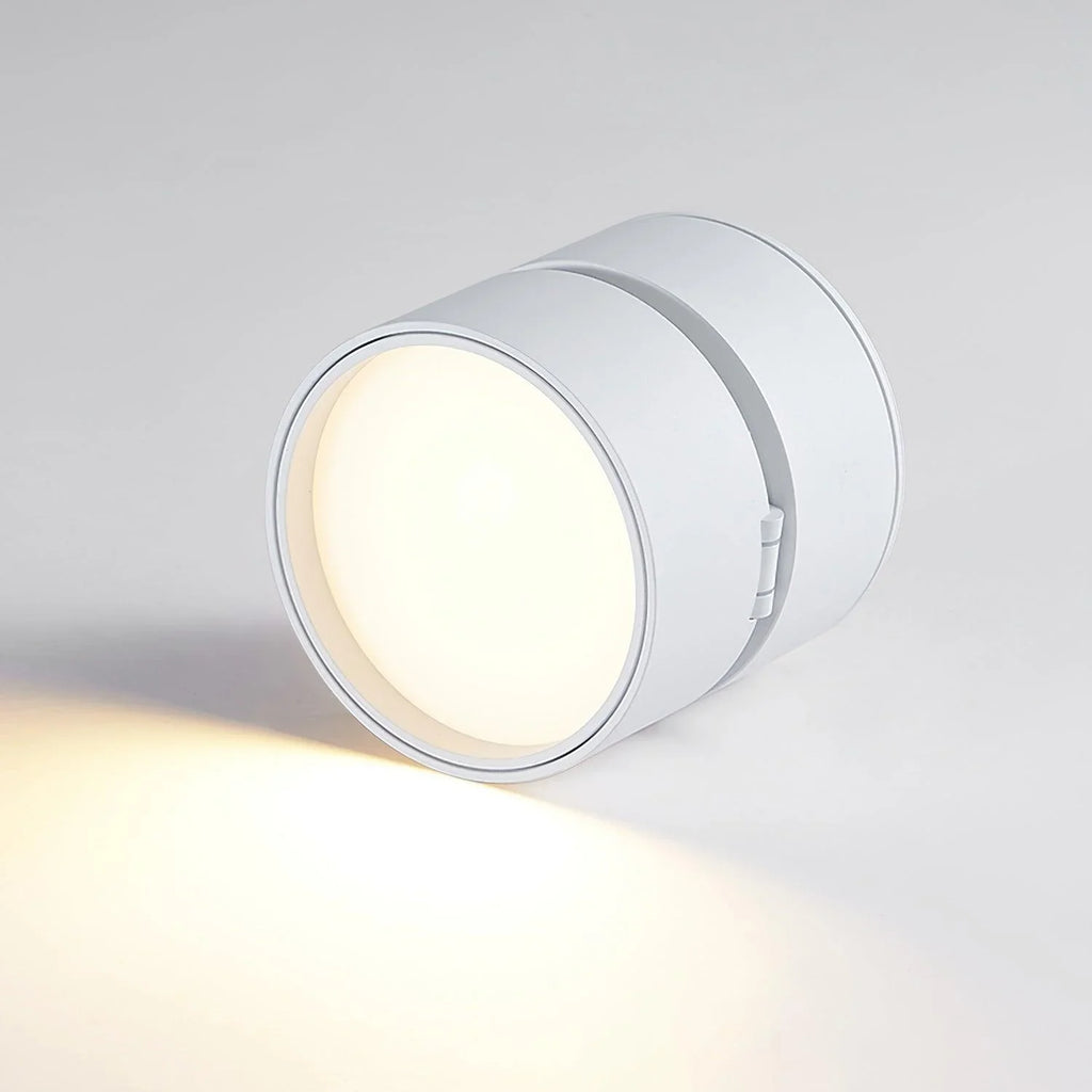 Ceiling Light | Adjustable LED & Aluminum Housing