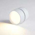 Ceiling Light | Adjustable LED & Aluminum Housing