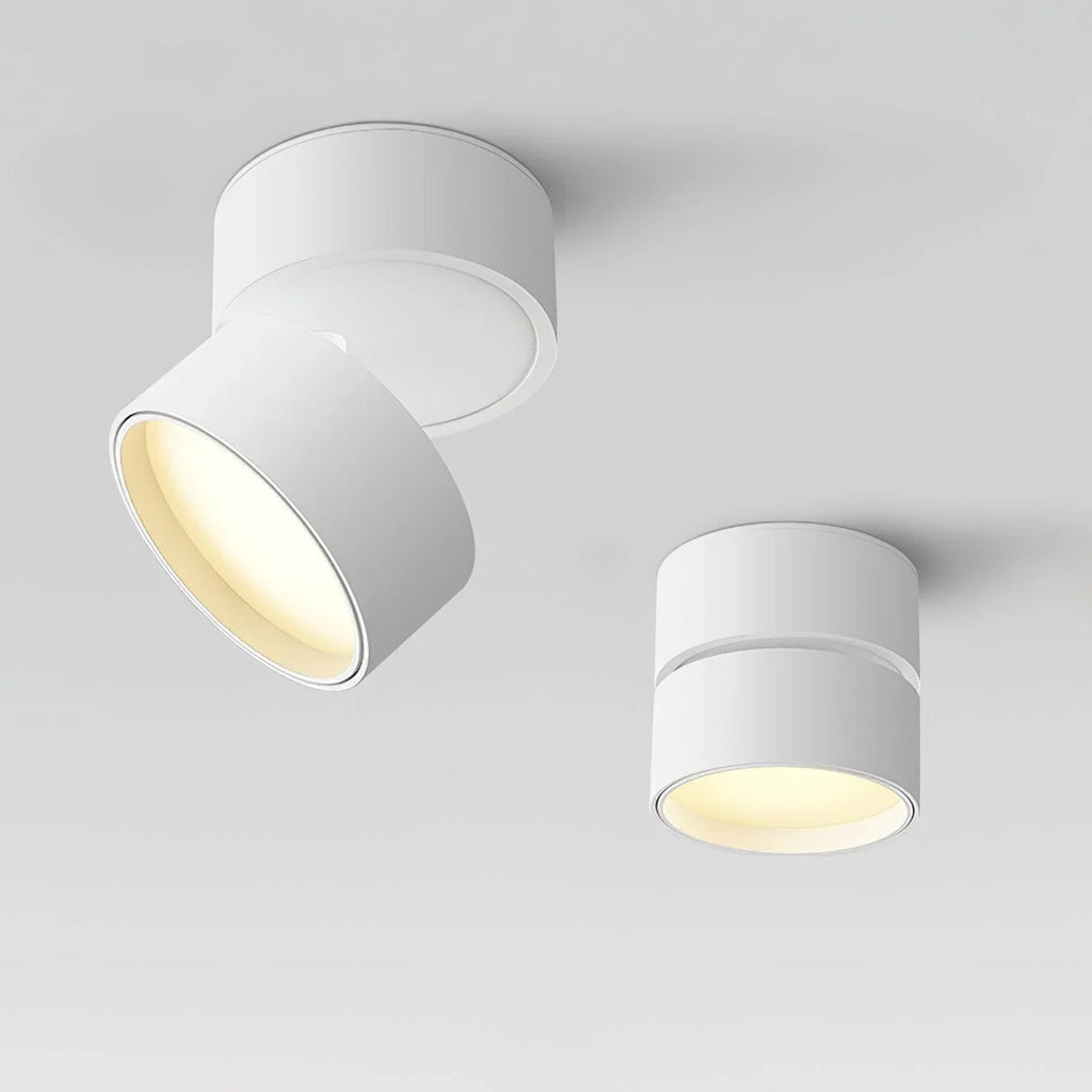 Ceiling Light | Adjustable LED & Aluminum Housing
