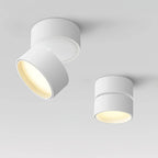 Ceiling Light | Adjustable LED & Aluminum Housing