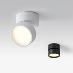 Ceiling Light | Adjustable LED & Aluminum Housing