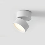 Ceiling Light | Adjustable LED & Aluminum Housing