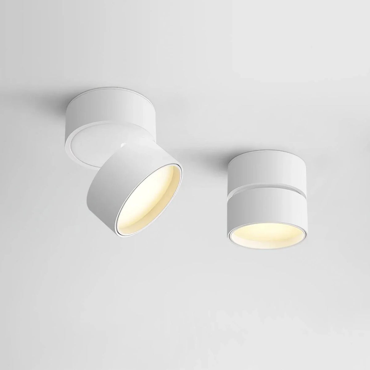 Ceiling Light | Adjustable LED & Aluminum Housing