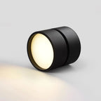 Ceiling Light | Adjustable LED & Aluminum Housing