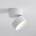 Ceiling Light | Adjustable LED & Aluminum Housing