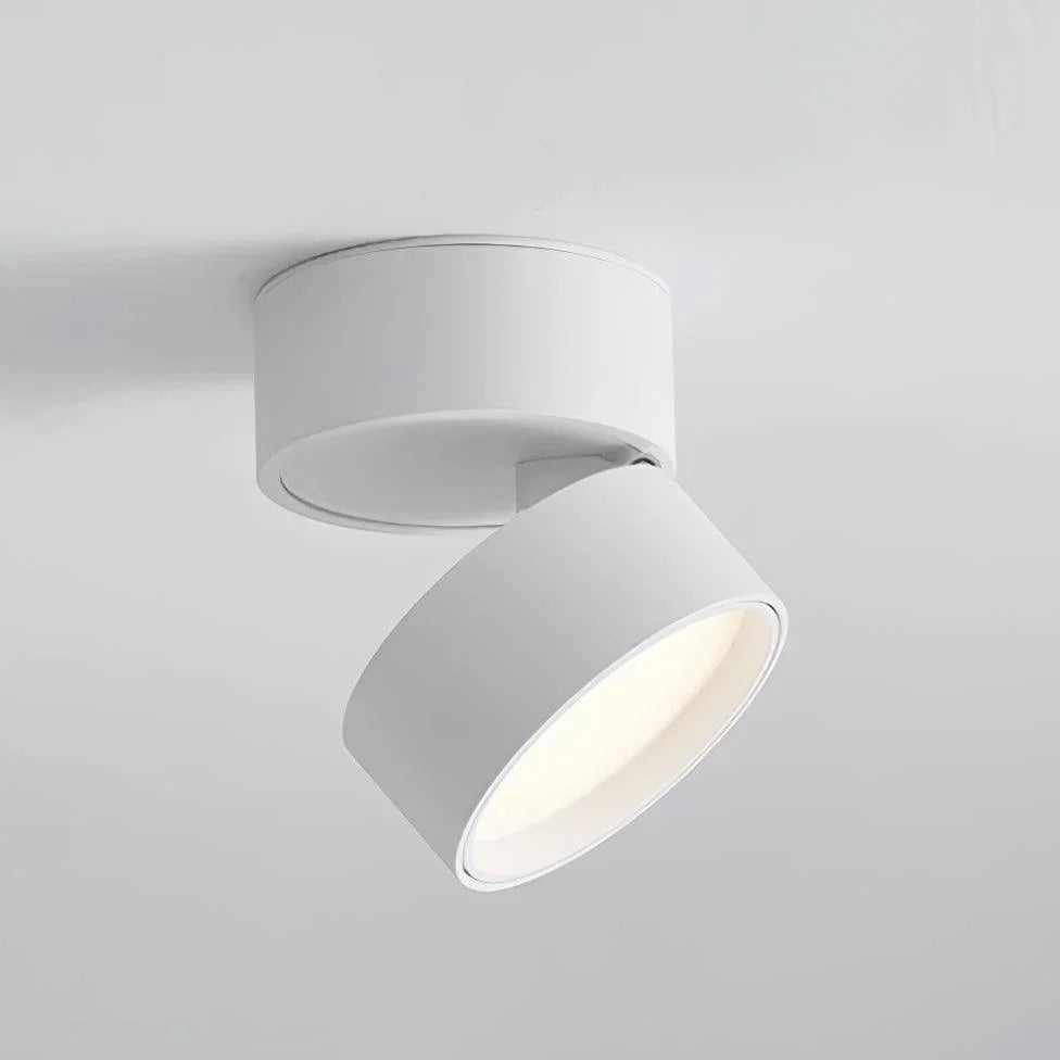 Ceiling Light | Adjustable LED & Aluminum Housing
