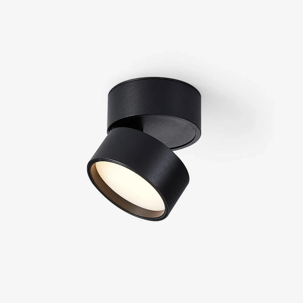 Ceiling Light | Adjustable LED & Aluminum Housing