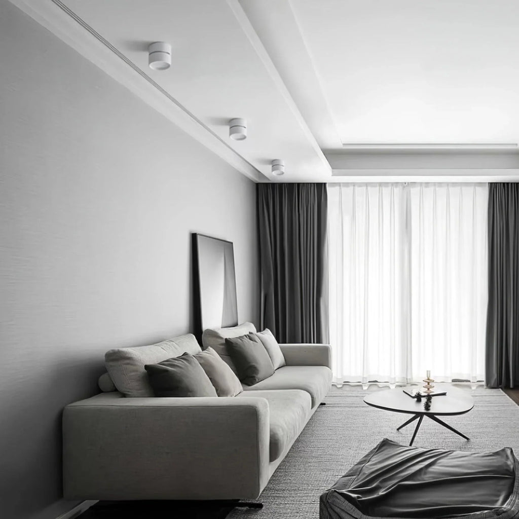 Ceiling Light | Adjustable LED & Aluminum Housing