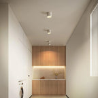 Ceiling Light | Adjustable LED & Aluminum Housing