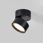 Ceiling Light | Adjustable LED & Aluminum Housing