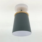 Ceiling Light | Adjustable Matte Iron Dome & E27 Compatible