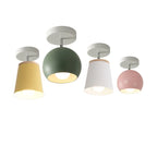 Ceiling Light | Adjustable Matte Iron Dome & E27 Compatible