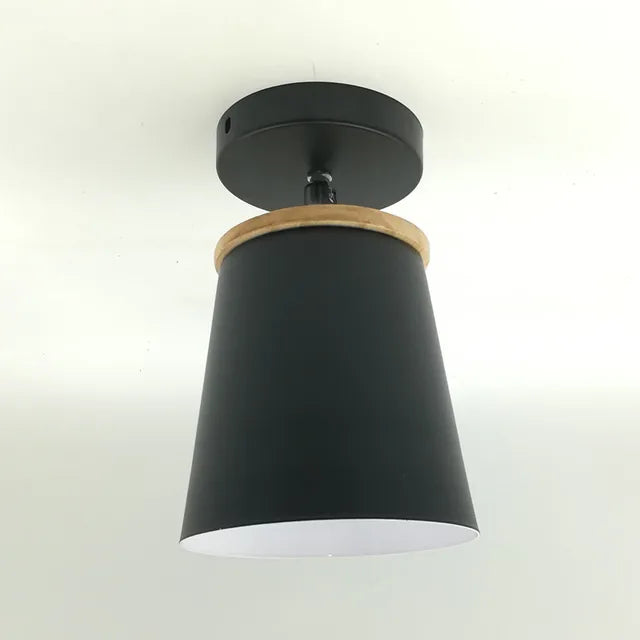 Ceiling Light | Adjustable Matte Iron Dome & E27 Compatible