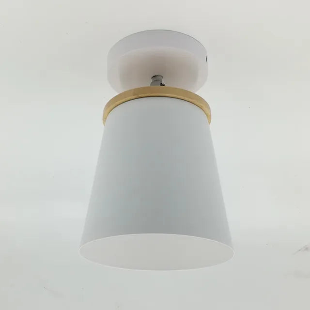 Ceiling Light | Adjustable Matte Iron Dome & E27 Compatible