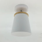 Ceiling Light | Adjustable Matte Iron Dome & E27 Compatible