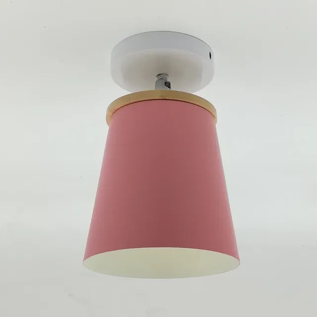 Ceiling Light | Adjustable Matte Iron Dome & E27 Compatible