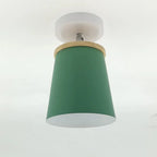 Ceiling Light | Adjustable Matte Iron Dome & E27 Compatible